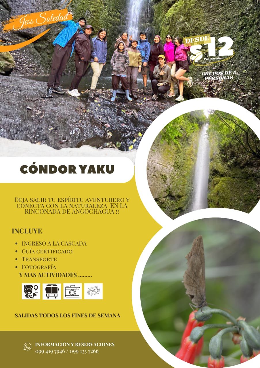Condor Yaku